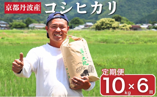 定期便 令和7年産 京都丹波産 コシヒカリ 10kg 6回