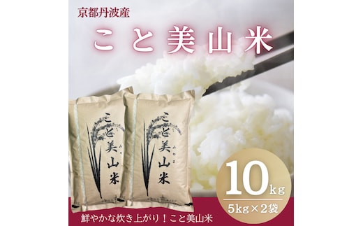 訳あり 令和7年産 こと美山米 10kg 精米 コシヒカリ にじのきらめき