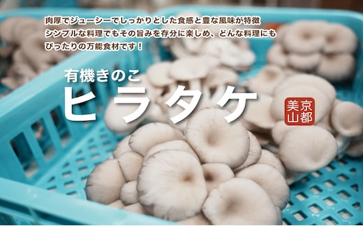 京都府産オーガニック ヒラタケ（6パック入り約840g）
