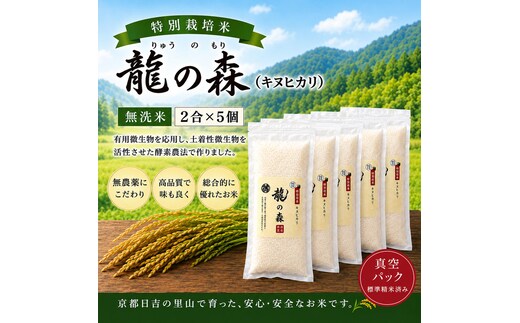 特別栽培米 「 龍の森 」( キヌヒカリ ) 300g×5パック お米 きぬひかり 無洗米 真空パックでお届け 米 コメ 精米 無洗米 白米 ごはん 白飯 京都府 南丹市