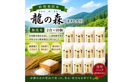 特別栽培米 「 龍の森 」( キヌヒカリ ) 300g×10パック お米 きぬひかり 無洗米 真空パックでお届け 米 コメ 精米 無洗米 白米 ごはん 白飯 京都府 南丹市