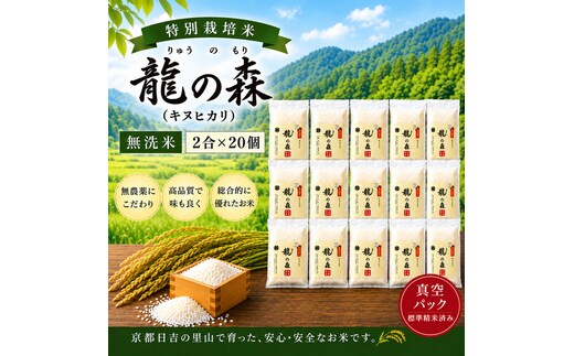 特別栽培米 「 龍の森 」( キヌヒカリ ) 300g×20パック お米 きぬひかり 無洗米 真空パックでお届け 米 コメ 精米 無洗米 白米 ごはん 白飯 京都府 南丹市
