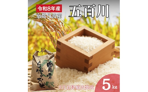 令和8年産 京都丹波産 五百川 5kg 精米 お米 新米 南丹市 京都 令和8年 5キロ 新米26 米 コメ 白米 ごはん 白飯 京都府 南丹市