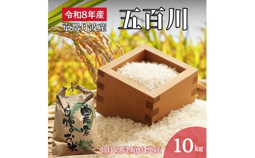 令和8年産 京都丹波産 五百川 10kg 精米 お米 新米 南丹市 京都 令和8年 10キロ 新米26 米 コメ 白米 ごはん 白飯 京都府 南丹市