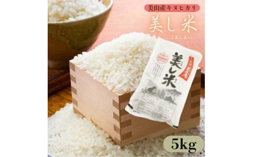 新米 令和8年産 美山産 キヌヒカリ 5kg 美し米 白米 精米 お米 コメ こめ こしひかり ご飯 ごはん 京都 米 南丹市 令和8年 5キロ 新米26