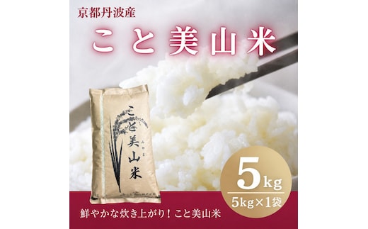 訳あり 令和8年産 こと美山米 5kg 精米 コシヒカリ にじのきらめき お米 米 新米 南丹市 京都 令和8年 5キロ 新米26