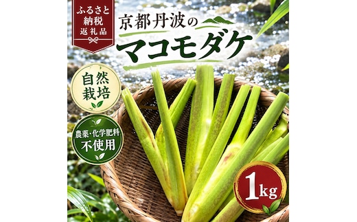 京都丹波のマコモダケ 1kg 自然栽培 栽培期間中 農薬・化学肥料不使用 京都丹波 新鮮野菜 自然栽培 スーパーフード デトックス 縄文食