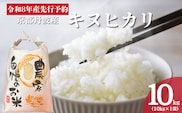 令和8年産 京都丹波産キヌヒカリ 10kg 米 お米 新米 南丹市 京都 新米26