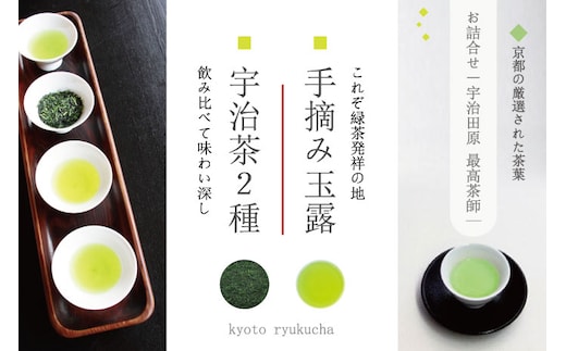 手摘み玉露と宇治茶2種のお詰合せ～宇治田原最高茶師～〈お茶 茶 煎茶 緑茶 茶葉 玉露 手摘み玉露 雁が音 茎茶 詰合せ 最高茶師 大臣賞 飲料 加工食品〉 