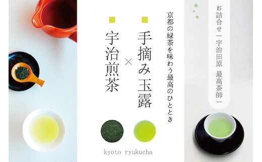 手摘み玉露と宇治煎茶のお詰合せ～宇治田原最高茶師～〈お茶 茶 煎茶 緑茶 茶葉 玉露 手摘み玉露 雁が音 茎茶 詰合せ 最高茶師 大臣賞 飲料 加工食品〉 