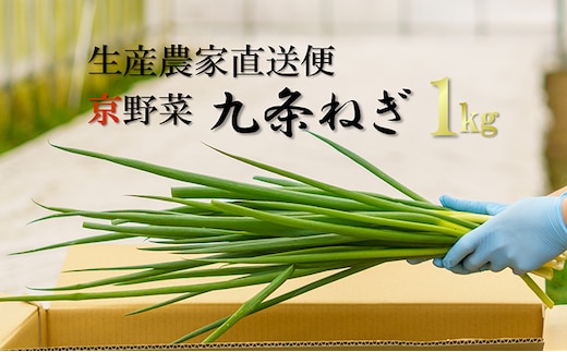 生産農家直送 京野菜・九条ねぎ1kg〈ねぎ ネギ 葱 九条ねぎ 京野菜 京都 新鮮 甘い 農家直送 野菜〉 