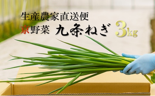 生産農家直送 京野菜・九条ねぎ3kg〈ねぎ ネギ 葱 九条ねぎ 京野菜 京都 新鮮 甘い 農家直送 野菜〉 