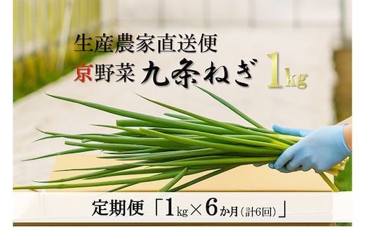 【6か月定期便】生産農家直送 京野菜・九条ねぎ1kg〈定期便 ねぎ ネギ 葱 九条ねぎ 京野菜 京都 新鮮 甘い 農家直送 野菜〉 6ヶ月 6回 半年 