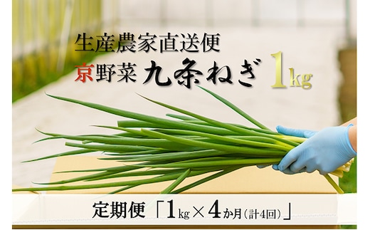 【4か月定期便】生産農家直送 京野菜・九条ねぎ1kg〈定期便 ねぎ ネギ 葱 九条ねぎ 京野菜 京都 新鮮 甘い 農家直送 野菜〉 4ヶ月 4回 