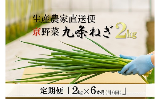 【6か月定期便】生産農家直送 京野菜・九条ねぎ2kg〈定期便 ねぎ ネギ 葱 九条ねぎ 京野菜 京都 新鮮 甘い 農家直送 野菜〉 6ヶ月 6回 半年 