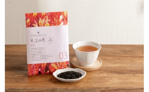 直茶発祥の地からお届け「宇治田原紅茶」50g×5袋〈お茶 茶 紅茶 茶葉 飲料 フルーティー 加工食品〉 