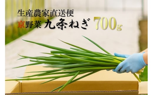 生産農家直送 京野菜・九条ねぎ700g〈ねぎ ネギ 葱 九条ねぎ 京野菜 京都 新鮮 甘い 農家直送 野菜〉 京都府産 薬味 料理 食材 