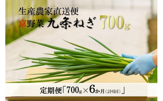 【6か月定期便】生産農家直送 京野菜・九条ねぎ700ｇ〈定期便 ねぎ ネギ 葱 九条ねぎ 京野菜 京都 新鮮 甘い 農家直送 野菜〉 京都府産 薬味 料理 食材 半年 