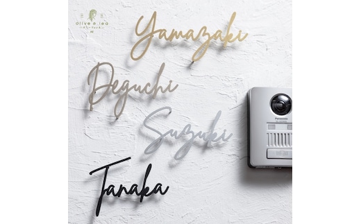 ステンレス切文字 表札 〈表札 ステンレス 切文字 切文字表札 オーダーメイド表札 アンティーク表札 おしゃれ 戸建 マンション 新築 引っ越し〉 