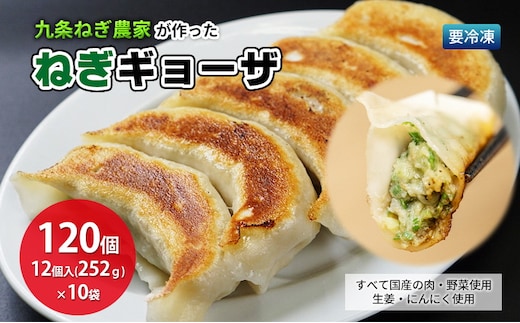 九条ねぎ農家が作ったねぎギョウザ（12個入×10袋） 〈 ぎょうざ 餃子 ギョーザ 九条ねぎ 京野菜 冷凍 冷凍餃子 惣菜 国産豚肉 おかず つまみ 夕飯 晩御飯 手軽 便利 〉 