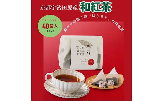 森からの和紅茶 はじまり（20袋入）2個組〈紅茶 お茶 茶 茶葉 和紅茶ティーバッグ 飲料〉
