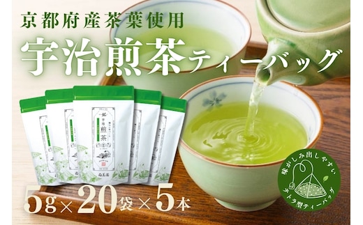 宇治・煎茶ティーバッグ 5g×20個×5袋〈お茶 茶 煎茶 緑茶 かぶせ茶 飲料 ティーバッグ 煎茶ティーバッグ ティーパック 宇治茶 日本茶 加工食品〉