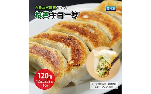 九条ねぎ農家が作ったねぎギョーザ（12個入×10袋）ぎょうざ 餃子 ギョーザ 九条ねぎ 京野菜 冷凍 冷凍餃子 惣菜 国産豚肉 ジューシー おかず つまみ 酒の肴 夕飯 晩御飯 手軽 便利