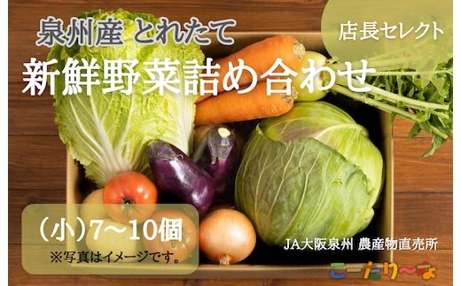 JA大阪泉州 直売所店長セレクト 新鮮野菜セット【7～10個 詰め合わせ 泉佐野産 とれたて 新鮮野菜 やさい 高評価 数量限定】 005A178