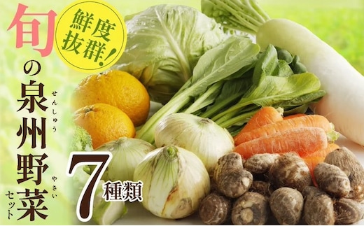 【家計応援】野菜セット 7種類【詰め合わせ 国産 旬 お試し おまかせ お楽しみ 期間限定】 005A443