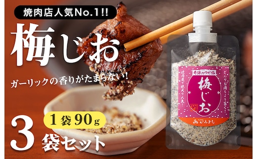 焼き肉専門店 梅じお ガーリック スパイス 90g×3袋 お試し 005A561