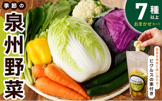 【スピード発送】季節の泉州野菜 7種 おまかせセット ピクルスの素 1袋付き いずみピクルス NSW 005A609