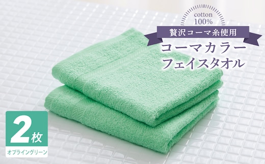 コーマカラーフェイスタオル 2枚（オプライングリーン) 【泉州タオル 国産 吸水 薄手 普段使い 無地 シンプル 日用品】 005A628