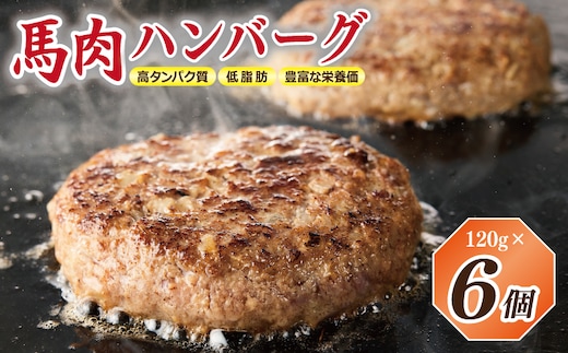 【特別規格】桜文 馬肉ハンバーグ 総量720g（120g×6個） 個包装 お試し 005A659
