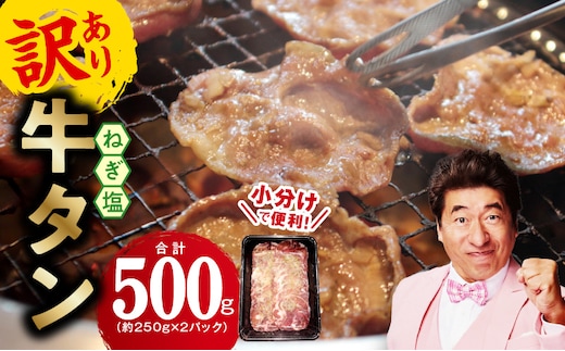 ねぎ塩 牛たん お試し 500g【小分け 250g×2 成型 牛タン 牛肉 焼肉用 薄切り 訳あり サイズ不揃い】 005A741
