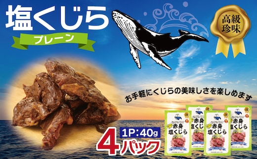 塩くじら プレーン 40g×4P【鯨 クジラ 鯨肉 赤身 おつまみ 珍味】 005A745