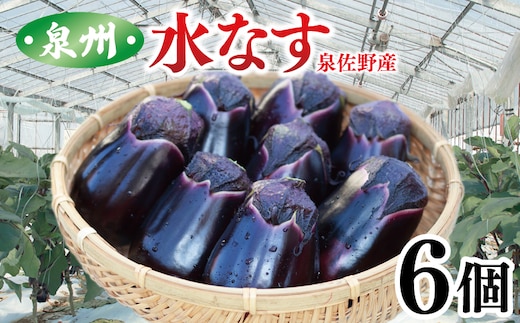 泉州 泉佐野市産 ハウス水なす 6個 夏旬の水なすを冬にどうぞ！ 005A759