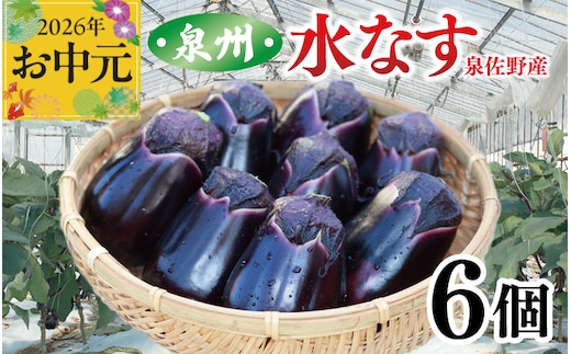 【お中元対応】泉州 泉佐野市産 ハウス水なす 6個【茄子 泉佐野産 とれたて 新鮮野菜 やさい 高評価】 005A759t