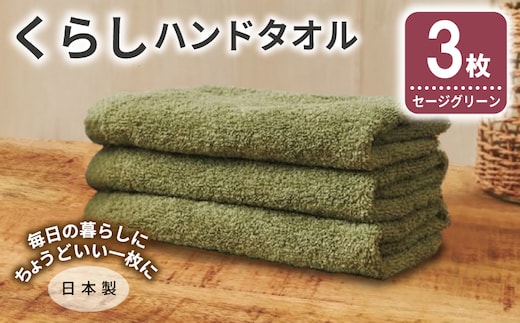くらしハンドタオル 3枚 セージグリーン【泉州タオル たおる 国産 吸水 普段使い シンプル 日用品 家族 ファミリー】 005A798