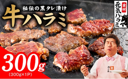 【新登場】極旨黒ダレ 牛ハラミ 300g【お試し 牛肉 はらみ 小分け 焼肉 お弁当 BBQ 訳あり ワケアリ わけあり サイズ不揃い 規格外 TVで話題 大阪 泉佐野 大阪府 泉佐野市】 005A810