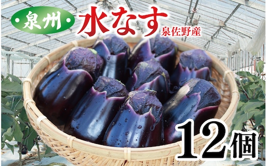 泉州 泉佐野産 ハウス水なす 12個 010B1061