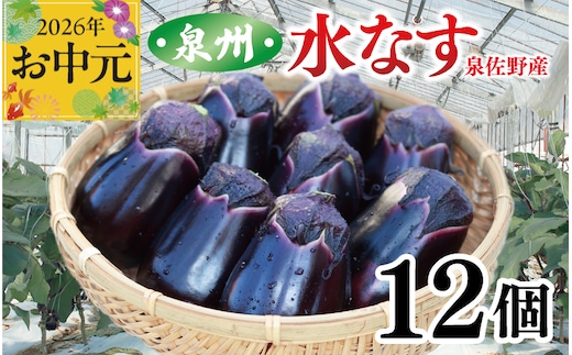 【お中元対応】泉州 泉佐野市産 ハウス水なす 12個【茄子 泉佐野産 とれたて 新鮮野菜 やさい 高評価】 010B1061t