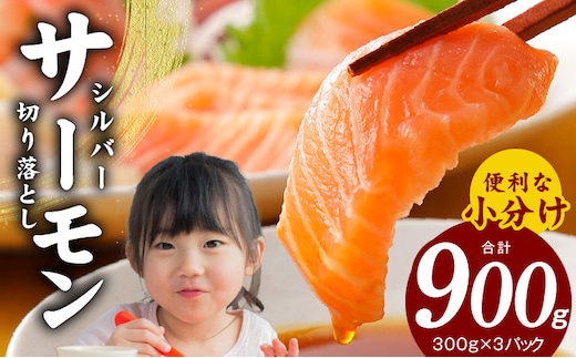 サーモン 切り落とし 900g 小分け 300g×3 【訳あり サイズ不揃い 刺身 海鮮丼 サラダ カルパッチョ 鮭 さけ シャケ しゃけ sake 人気 オススメ 小分け 冷凍 家計応援 消費応援 物価高応援】 010B1195
