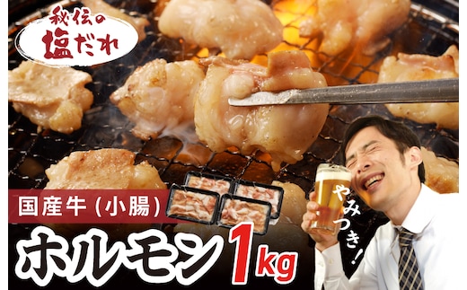 国産 牛肉 ホルモン 1kg 塩だれ漬け 焼肉用 小分け 250g×4P【牛肉 焼肉用 焼くだけ 小分け BBQ やきにく 数量限定】 099H3869