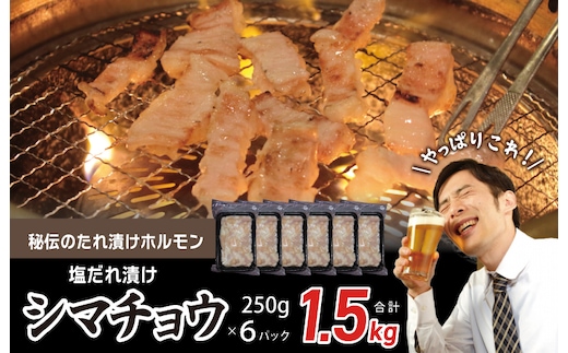 【焼肉屋の定番】シマチョウ 塩だれ漬け 1.5kg【小分け 250g×6 牛肉 ホルモン 焼肉用】 010B1516