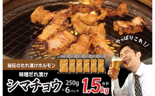 【焼肉屋の定番】シマチョウ 味噌だれ漬け 1.5kg【小分け 250g×6 牛肉 ホルモン 焼肉用 】 010B1517
