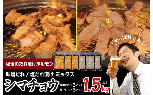 【焼肉屋の定番】シマチョウ 塩/味噌だれ漬け 1.5kg【小分け 250g×6 牛肉 ホルモン 焼肉用 食べ比べ】 010B1518