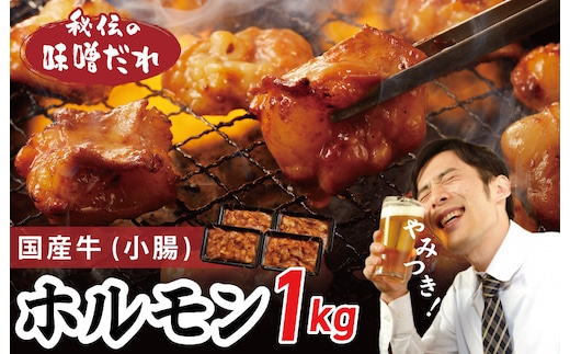 国産 牛肉 ホルモン 1kg 味噌だれ漬け 焼肉用 小分け 250g×4P【牛肉 焼肉用 焼くだけ 小分け BBQ やきにく 数量限定】 099H3870