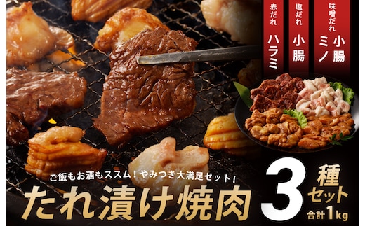 アキラ商店 3種盛り合わせセット 合計 1kg【焼肉用ホルモン 牛肉 ハラミ ミノ 小腸 焼くだけ 小分け BBQ やきにく 数量限定】 010B1521