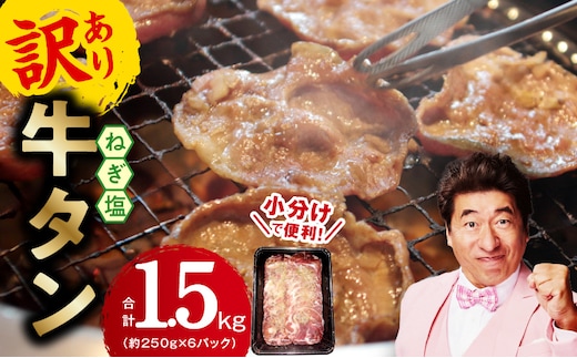 牛たん 1.5kg ねぎ塩味 小分け 250g×6【成型 牛タン 牛肉 焼肉 BBQ 薄切り ぎゅうたん スライス 訳あり サイズ不揃い 期間限定 家計応援】 099H4048