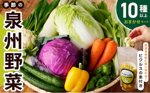 【スピード発送】季節の泉州野菜 10種 おまかせセット ピクルスの素 2袋付き いずみピクルス NSW 010B1544